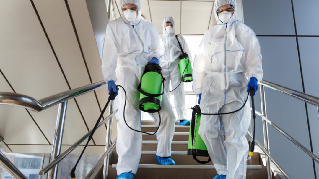 Specialized disinfecting services.