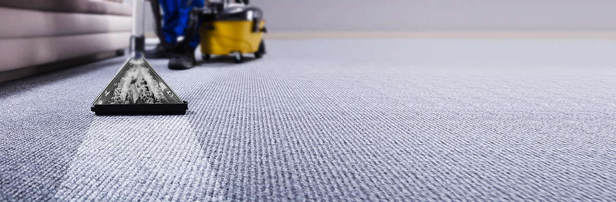 Janitor Cleaning Carpet